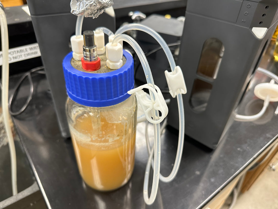 Tips on automatic feeding procedures